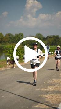 BIB:  <button type="button" onclick="openModal(27695611)" class="btn btn-primary btn-sm float-right" data-toggle="modal" data-target=".modal-high-quality">
                <i class="fa fa-download"></i> Download
                </button>